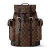 Louis Vuitton Christopher MM Backpack - LP10