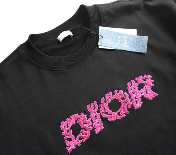 Dior Sweatshirt - HD14