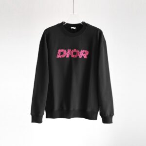 Dior Sweatshirt - HD14