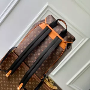 Louis Vuitton Montsouris Backpack - LP23