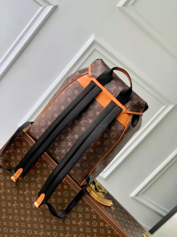 Louis Vuitton Montsouris Backpack - LP23