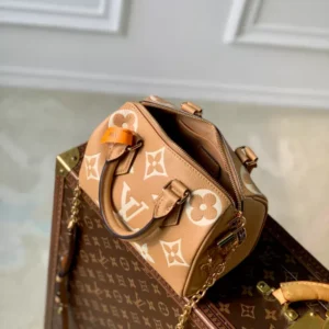 Louis Vuitton Speedy Bandoulière 20 - LH72