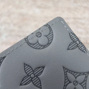 Louis Vuitton Multiple Wallet - LW21 (1)