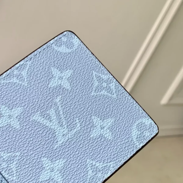 Louis Vuitton Multiple Wallet - LW29