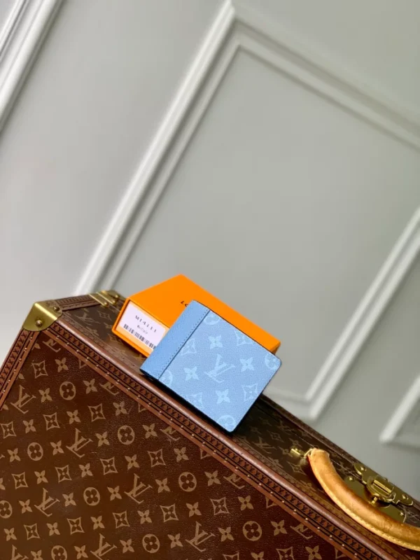 Louis Vuitton Multiple Wallet - LW29