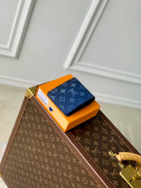 Louis Vuitton Multiple Wallet - LW37