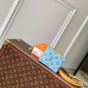 Louis Vuitton Multiple Wallet - LW38