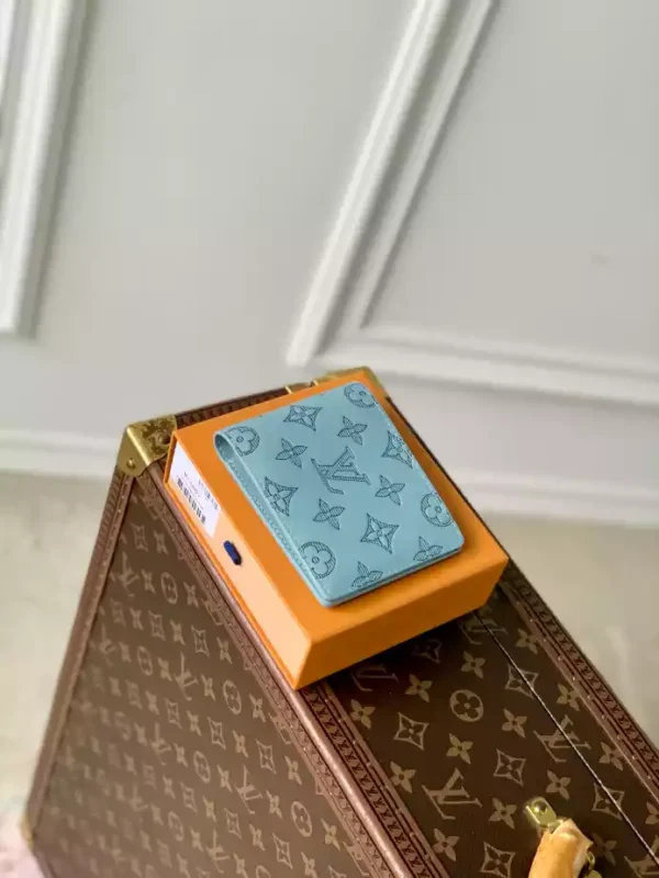 Louis Vuitton Multiple Wallet - LW38