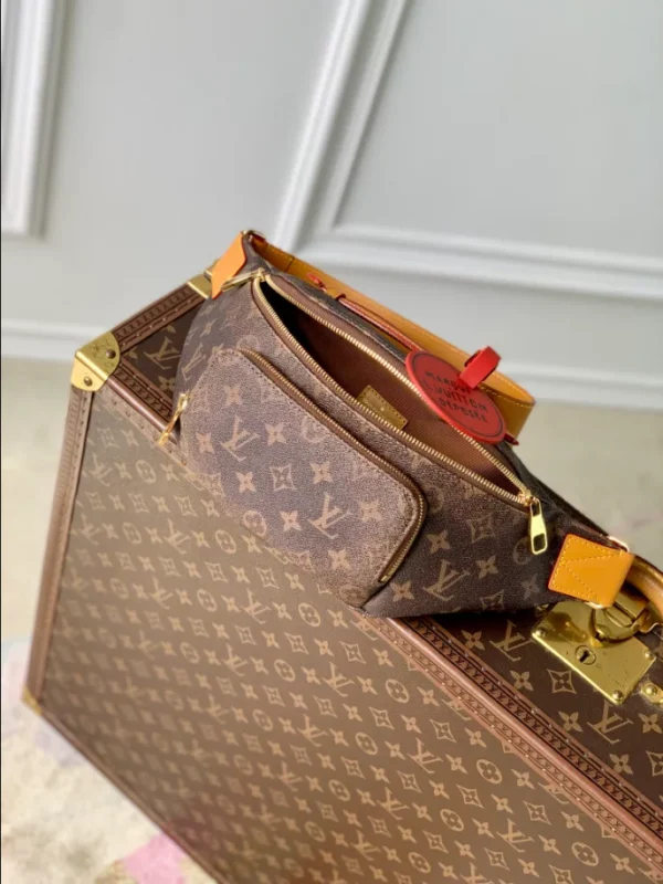Louis Vuitton Rush Bumbag Monogram Dust Canvas - LCP011