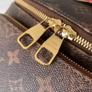 Louis Vuitton Rush Bumbag Monogram Dust Canvas - LCP011
