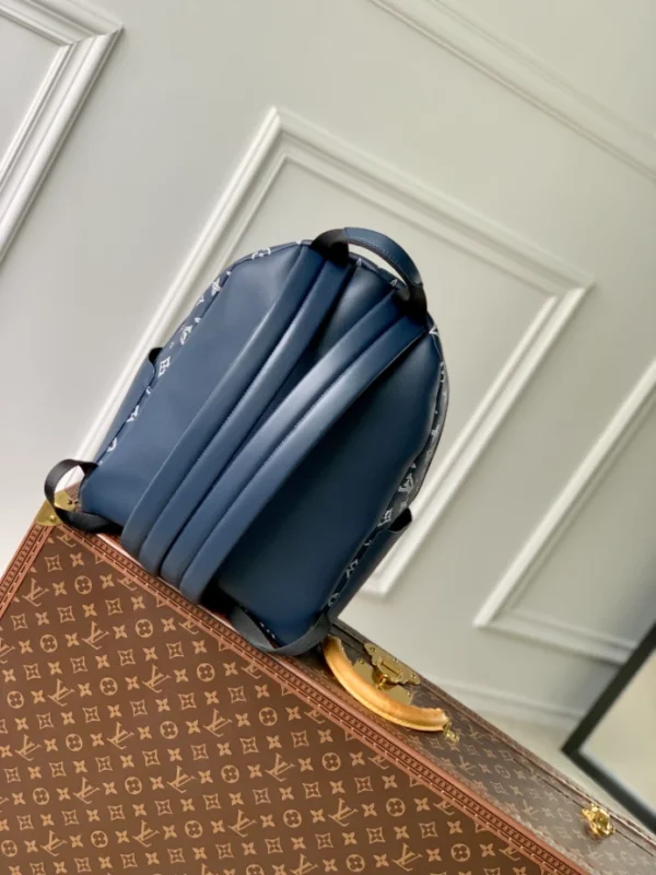 Louis Vuitton Discovery Backpack - LP44