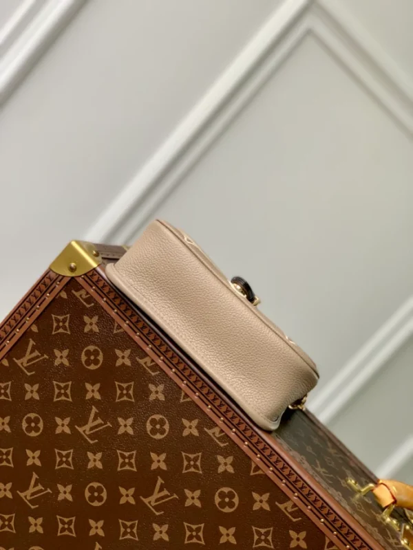Louis Vuitton Nano Diane Bag - LH107
