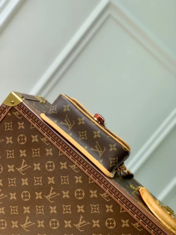 Louis Vuitton Nano Diane Bag - LH109