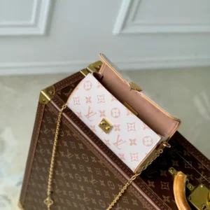 Louis Vuitton Pochette Camille - LH101