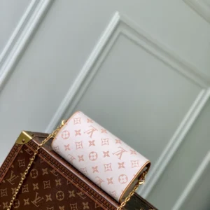 Louis Vuitton Pochette Camille - LH101