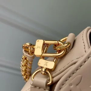 Louis Vuitton Wallet On Chain Ivy - LH114