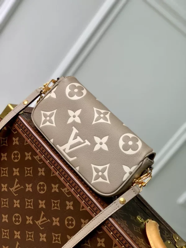 Louis Vuitton Wallet On Chain Ivy - LH88