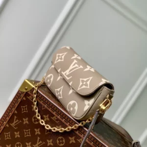 Louis Vuitton Wallet On Chain Ivy - LH88