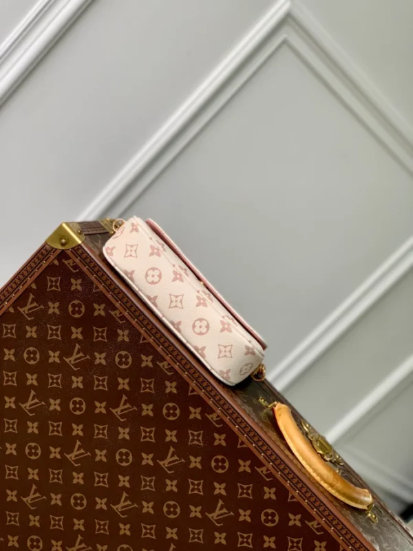 Louis Vuitton Wallet On Chain Ivy - LH94