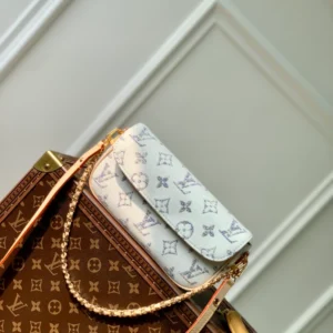 Louis Vuitton Wallet On Chain Ivy - LH95