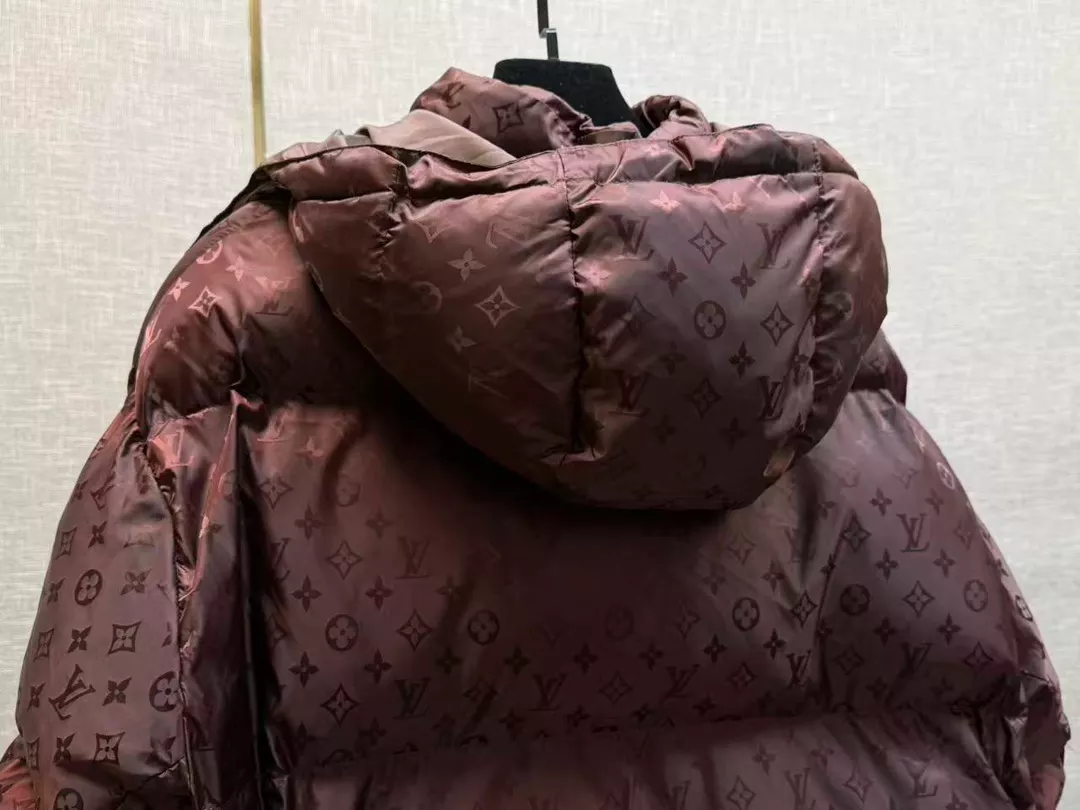 Louis Vuitton Monogram Down Blouson - LK44