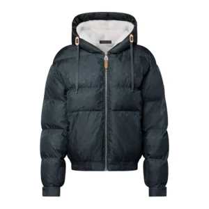 Louis Vuitton Monogram Down Jacket - LK56