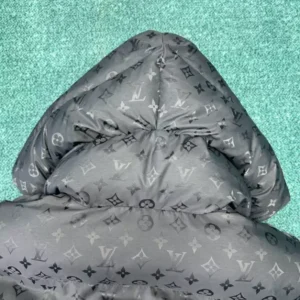 Louis Vuitton Monogram Down Jacket - LK56