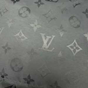 Louis Vuitton Monogram Down Jacket - LK56