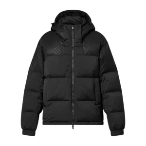 Louis Vuitton Placed Monogram Ecodown Blouson - LK38