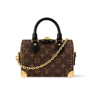 Louis Vuitton Speedy Trunk 20 Monogram Canvas - LH120
