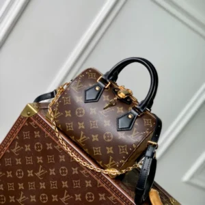 Louis Vuitton Speedy Trunk 20 Monogram Canvas - LH120